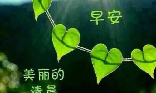 海黄瘤瘿原木图片网- 海黄瘿子瘤纹是深还是浅好知识,分享海黄瘤疤图片欣赏